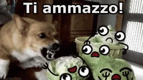 dog and stuffed animals with caption that says ti amazzo
