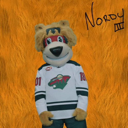 the mascot for the minnesota wild bears is wearing his hockey jersey