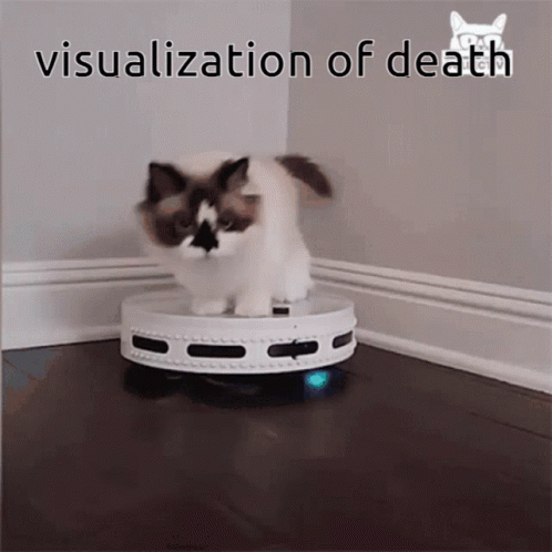a cat jumping around on a robot toy