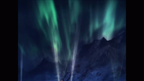 people watching an aurora bore with their arms spread