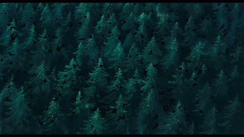 large group of birds flying around trees in a forest