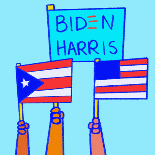 three flags, one red white and blue, each with the name bid - n - harps written on it