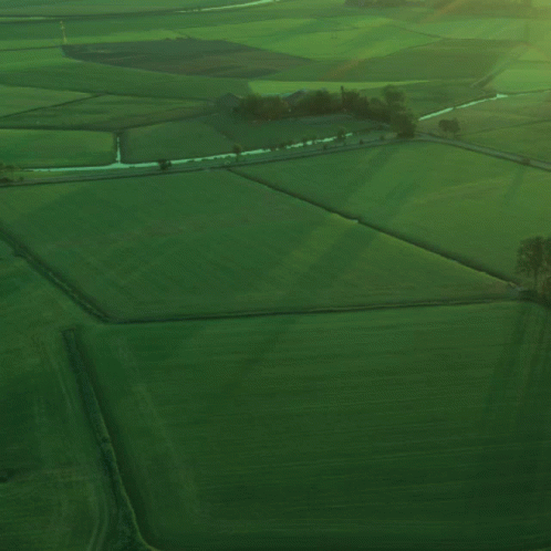 an aerial view of a big vast green field