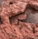 a piece of rock with little rocks embedded in it