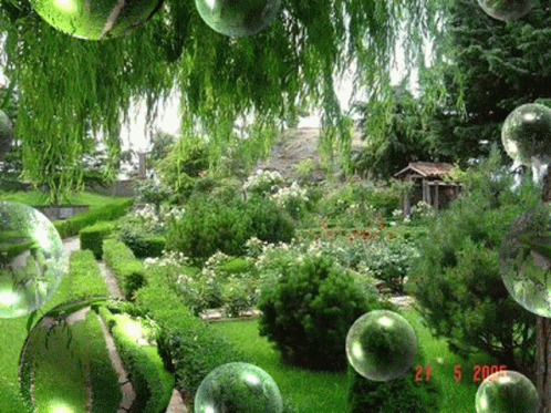 a lush green garden with lots of bubbles floating