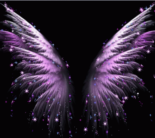 a pink firework wings against a black background