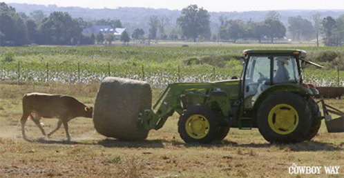a tractor with a trailer attached to it being pulled by a calf in a field