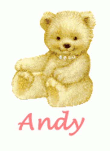 a teddy bear with a name tag is shown