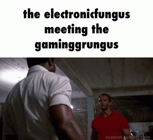 the electronicunius meeting the gamegrugs are talking