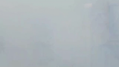 a bird flies through the fog in a city