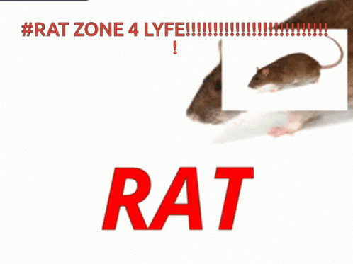 a mouse sitting in the middle of a mouse on a computer screen