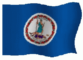 a flag of the state of virginia, an american state