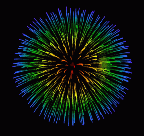 colorful fireworks in the middle of the night sky