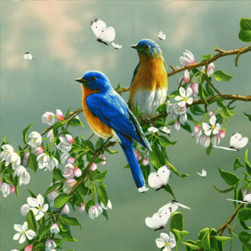 a couple of blue birds sit on top of a tree