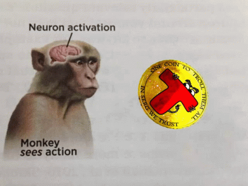 an image of a monkey with the words monkey sees action