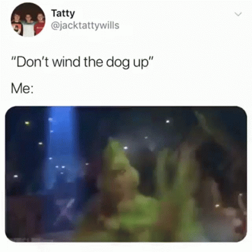 a cartoon character saying don't wind the dog up me