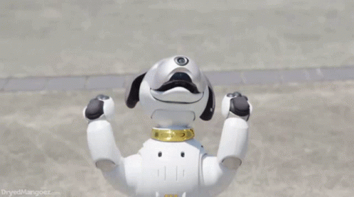 a robot dog holding its hands up in the air
