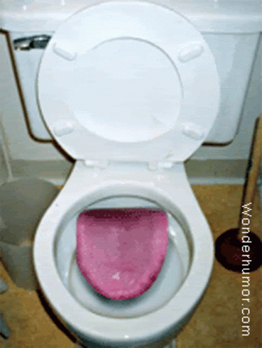 a white toilet with purple seat pad