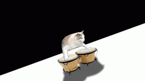 the cat is playing drums on the white sheet