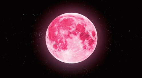 the moon, seen in the dark sky, looks like it could be purple