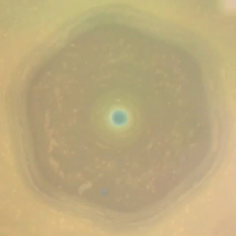 an image of the inside of a circle in a light blue ocean