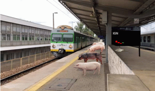 a couple of sheep walk on the sidewalk as a train arrives