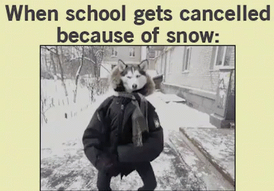 a person wearing animal head in the snow