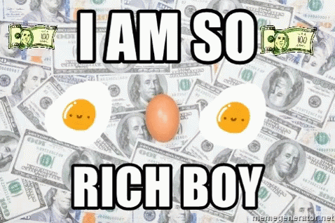 two eggs surrounded by hundred dollar bills with the words i am so rich boy