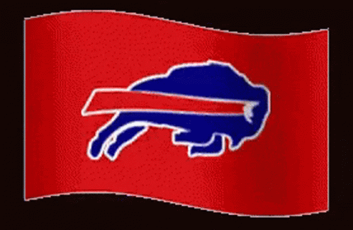 a buffalo football team waving a flag