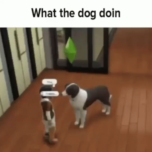 two dogs looking at each other with caption that says what the dog do in real life