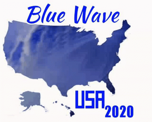a map of the usa with the words blue wave is shown
