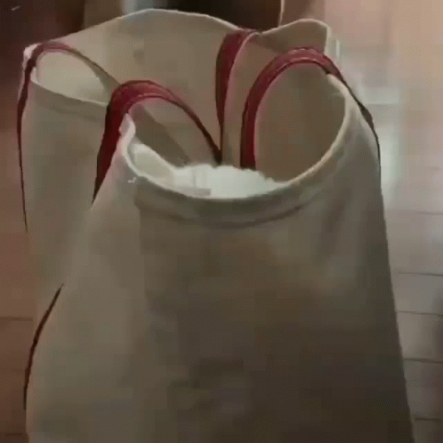 a white bag with a purple strap is shown from a video