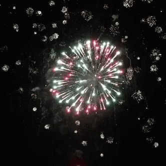 the dark sky has a large fireworks with white snowflakes on it