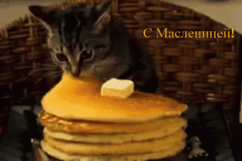 the cat is looking down at the stack of pancakes