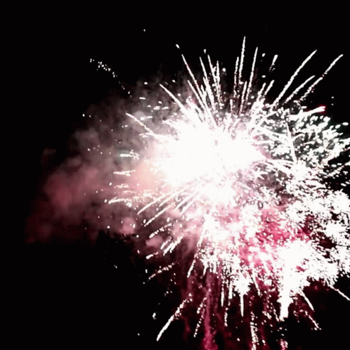 a picture of fireworks during the day in a black background