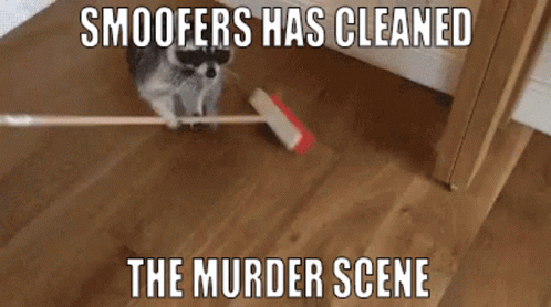 the words mean this cat has a cleaning mop