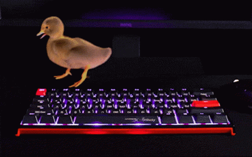 a ducky looking computer keyboard sitting on a desk