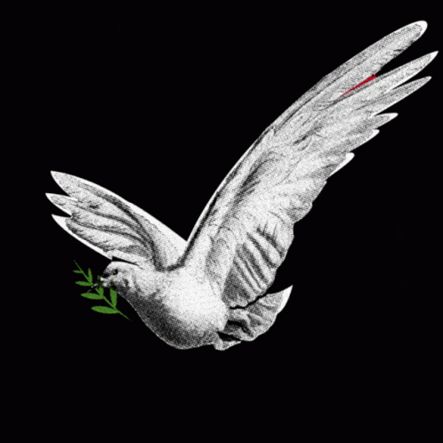 a white pigeon with a green twig in its beak