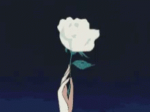 there is a white rose in a tall glass vase