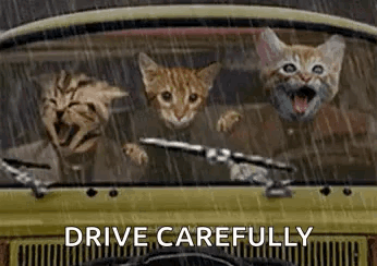 an illustrated picture of three cats sitting in the driver's seat