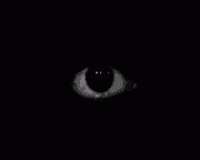 an image of an cat's eye at night