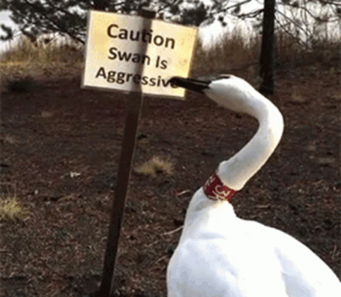 a sign that is on top of a goose