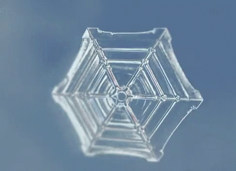 an odd looking view of a clear umbrella