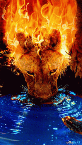 an animal is in some water with some blue flames