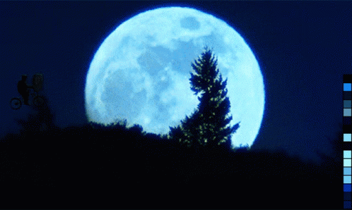 a view of a full moon with a tree in the foreground