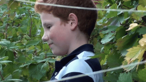 a boy wearing striped shirt in a fenced area with vines