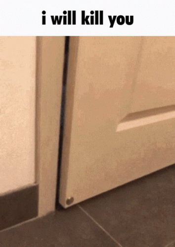 a cat staring at the door in front of it