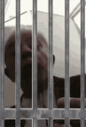 a man behind bars has a panda bear in his cage