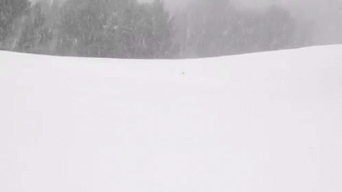 a skier in white on a snow day