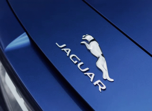 a closeup of the emblem on a brown sports car